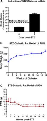 J-2156, a small molecule somatostatin type 4 receptor agonist, alleviated hindpaw hypersensitivity in the streptozotocin-induced rat model of painful diabetic neuropathy but with a 2-fold decrease in potency at an advanced stage in the model, mimicking morphine